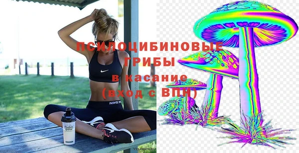 сатива Верхний Тагил