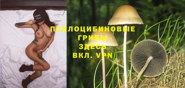 мяу мяу мука Верея